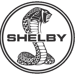 Shelby